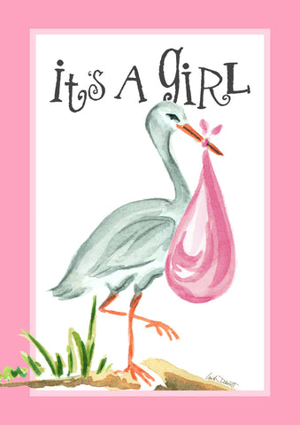 It's a Girl Flag image 1