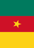 Flag of Cameroon Flag image 2
