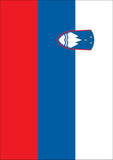 Flag of Slovenia Flag image 2