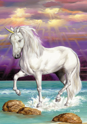 Splashing Unicorn Flag image 1