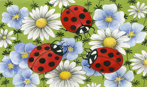Flowers and Ladybugs Door Mat image 1