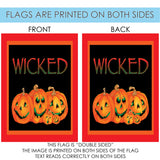 Wicked Flag image 9