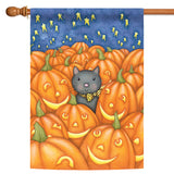 Peekaboo Cat Flag image 5