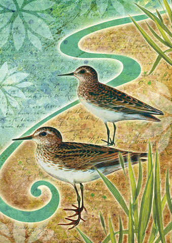Sandpipers Flag image 1