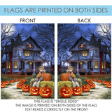 Spooky Manor Flag image 9