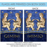 Zodiac-Gemini Flag image 9