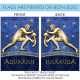 Zodiac-Aquarius Flag image 9