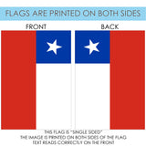 Flag of Chile Flag image 9