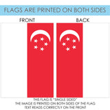 Flag of Singapore Flag image 9