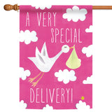 Special Delivery-Girl Flag image 5