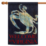 Summer Blues-Welcome to Virginia Flag image 5