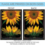 Sunflowers On Black Flag image 9