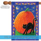Pumpkin & Cat Flag image 4