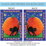 Pumpkin & Cat Flag image 9
