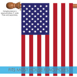 USA Flag image 4
