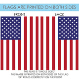 USA Flag image 9