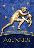 Zodiac-Aquarius Flag image 2