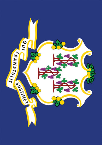 Connecticut State Flag Flag image 1