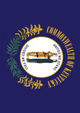 Kentucky State Flag Flag image 2
