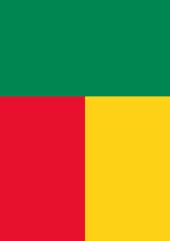 Flag of Benin Flag image 1