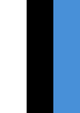 Flag of Estonia Flag image 2