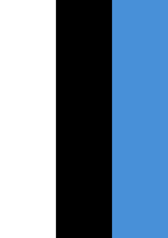 Flag of Estonia Flag image 1