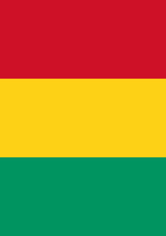 Flag of Guinea Flag image 1