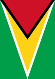 Flag of Guyana Flag image 2