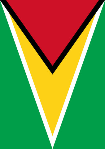Flag of Guyana Flag image 1