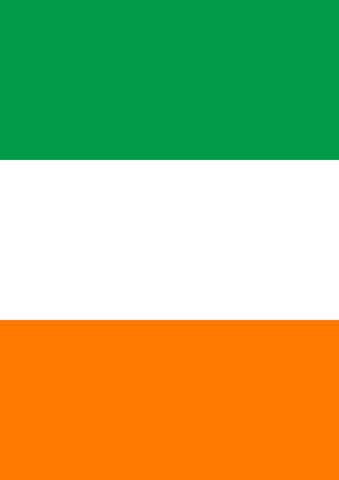 Flag of Ireland Flag image 1
