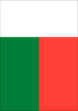 Flag of Madagascar Flag image 2