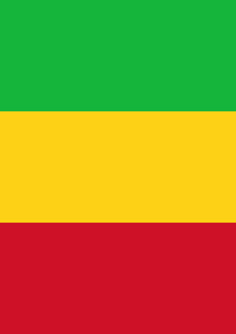 Flag of Mali Flag image 1