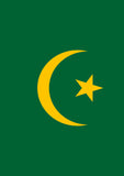 Flag of Mauritania Flag image 2