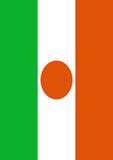 Flag of Niger Flag image 2
