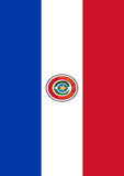 Flag of Paraguay Flag image 2