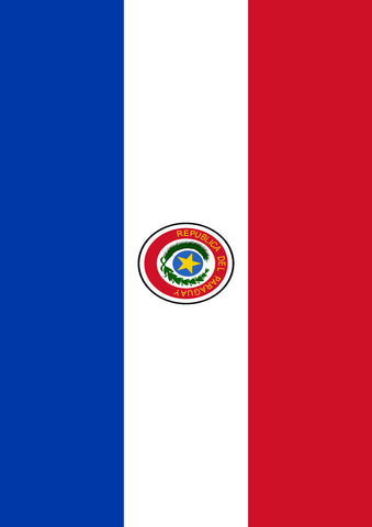 Flag of Paraguay Flag image 1