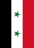 Flag of Syria Flag image 2