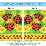 Ladybugs On Green Flag image 9