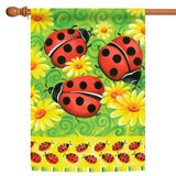 Ladybugs On Green Flag image 5
