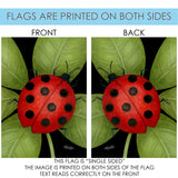 Ladybug Flag image 9