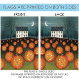Pumpkin Hollow House Flag image 9