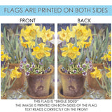 Potted Daffodils Flag image 9