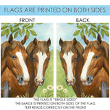 Twin Horses Flag image 9