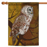 Night Owl Flag image 5