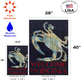 Summer Blues-Welcome to Virginia Flag image 6