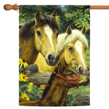 Horse Family Flag image 5