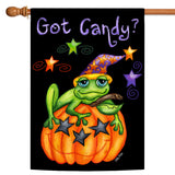 Toad Candy Flag image 5