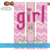 It's A Baby Girl Flag image 4