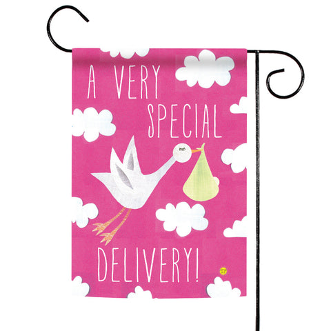 Special Delivery-Girl Flag image 1