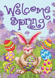 Welcome Spring Flag image 2